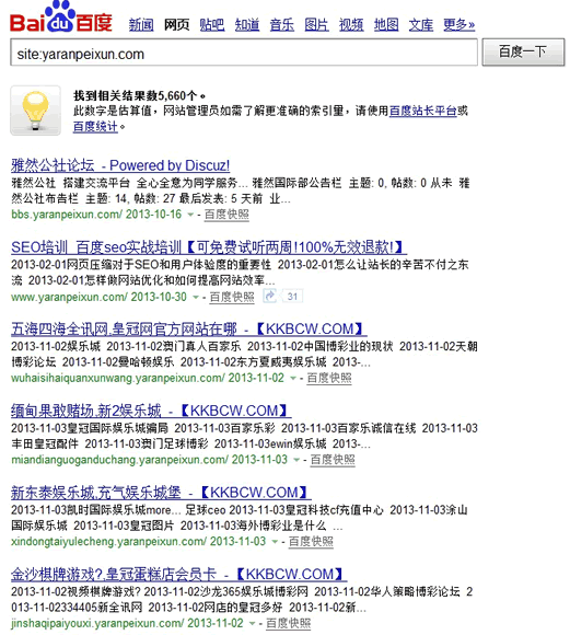 網站被惡意泛解析的截圖記錄 4步解決網站被惡意泛域名解析的難題